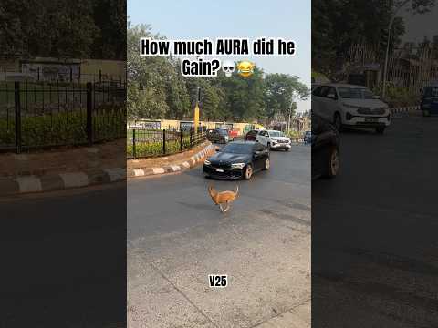 How Much AURA Did He Gain Bmw Bmwdrift Mumbai Supercarsinmumbai Viralshorts Likes Fyp