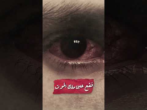 مقاطع لأشخاص شافوا ملك الموت بعيونهم أنس آكشن