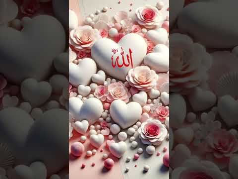 Jaanam Fida E Haideri