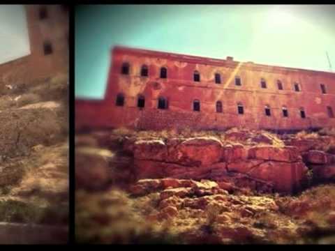 سواد العين يا وطني فداك