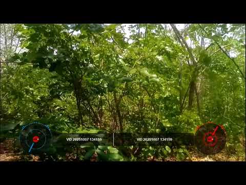 Dj Damasi Ilungu Binti Mpya 2025