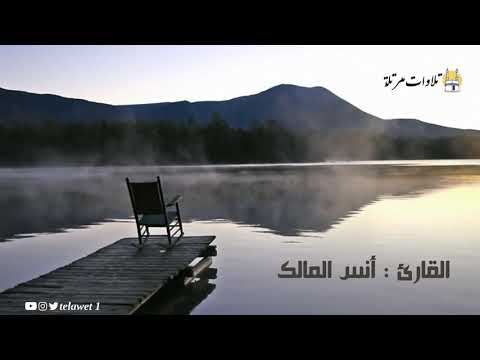 وآخرون اعترفوا بذنوبهم خلطوا عملا صالحا وآخر سيئا تلاوة خاشعة للقارئ أنس المالك وآخرون اعترفوا بذنوبهم خلطوا عملا صالحا وآخر سيئا تلاوة خاشعة للقارئ أنس المالك