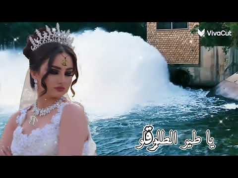 يا طير الطاير قلو