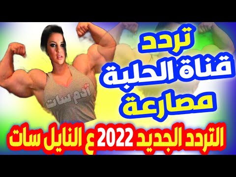 تردد قناة الحلبة تردد قناة الحلبة 2021 تردد قناة الحلبة مصارعة تردد قناة الحلبة Al Halaba Tv