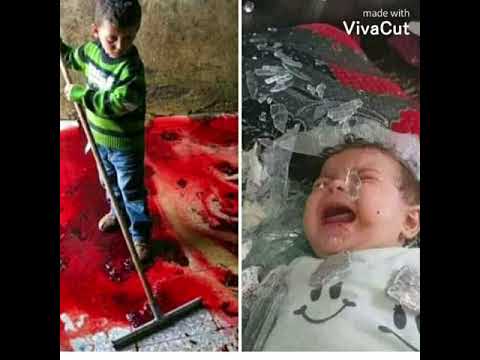 هزتني نسمات الليالي القدس عاصمة فلسطين وستاظل