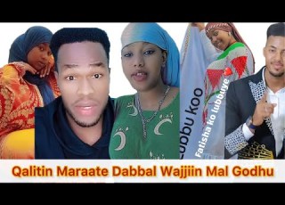 Ajaiba Ijjoollen Arafat Tofiq Tana Maalif Fata Shaw Wajjiin Akka Jiran Baasani Dabbal Jaarsa Lamafa