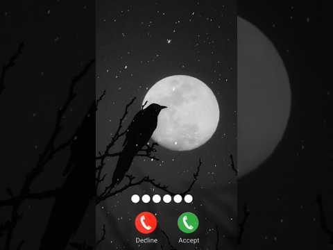 Jack Sparrow Ringtone The Pirate King Vibes JackSparrow PirateRingtone Disney