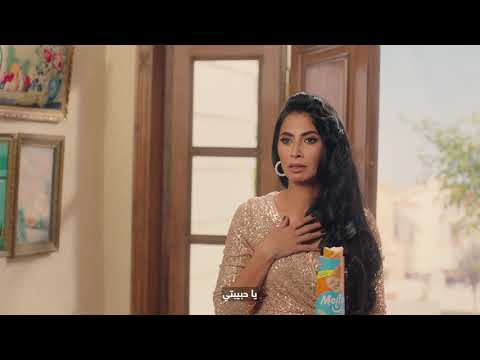 مولتو ساندوتش بيشبع تحت أي ظروف