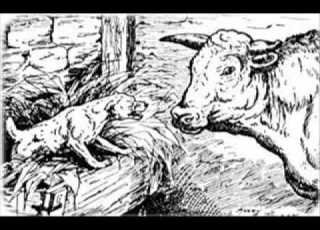  Aesop S Fables The Dog In The Manger
