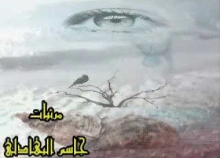 ضياء حسين ماظن يجيبه البخت