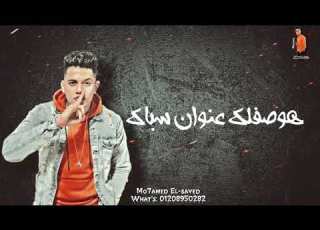 مهرجان أسند ضهرك شوفلك كلبة للصحاب امين خطاب حالات واتس اب