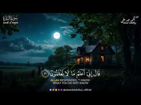 سورة البقرة هدوء وسكينة القارئ أحمد عبد الحي