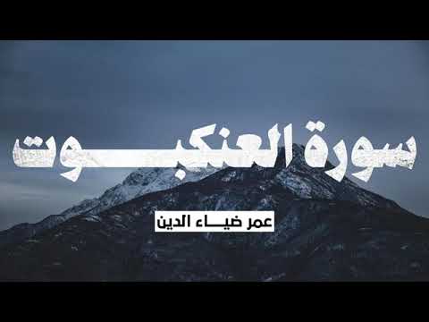 تلاوة سوره العنكبوت للقارئ عمر بن ضياء الدين بدون مؤثرات قرأن