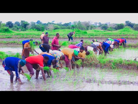 SAHANI IHAMBA KWA MANUMBU Official Video