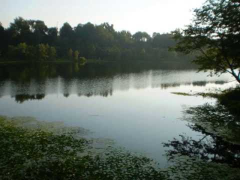 عبدالكريم الكابلي مروي