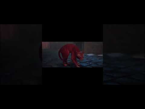 Escaping The Zurk Stray Video Game