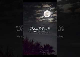 مشاري راشد العفاسي سوره مريم حالات واتس اب قرآن كريم
