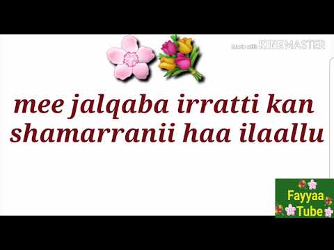 Sadarkaalee Wal Qunnamtii Saalaa