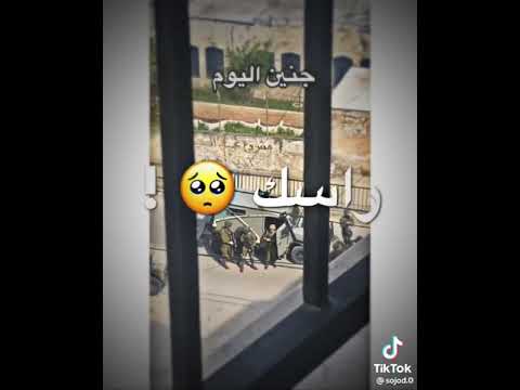 جنين يا ثوره