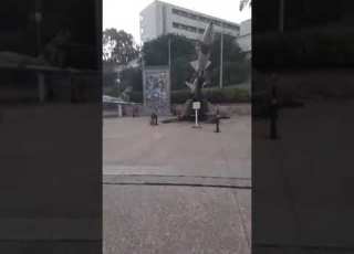  متحف المجاهد