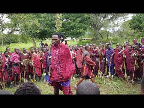 Masai Dance On Elerai Green
