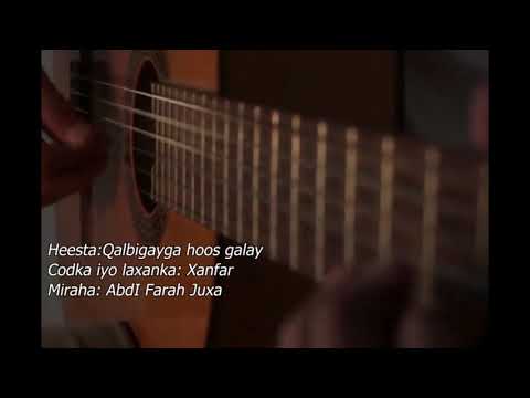 DAAUUD XANFAR HEES CUSUB 2025