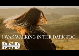  DSD I Was Walking In The Dark Too Original Mix