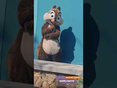 DISNEY MAGIC KINGDOM CON LAS ARDILLAS CHIP AND DALE