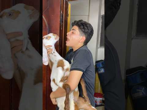 حسين صعبت عليه الاضحيه