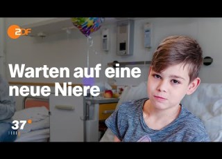 Organspende Eine Neue Niere Für Adrian I Stark Bei 37 Grad