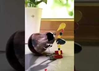  جبر الخواطر على الله