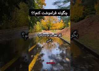  عادت می کنم به داشتن چیزی و سپس نداشتنش به بودن کسی و سپس به نبودنش تنها عادت می کنم اما فراموش نه