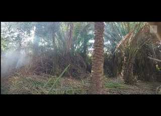 المقطوعة الموسيقية الاشهر في العالم لجورج زامفير الراعي الوحيد