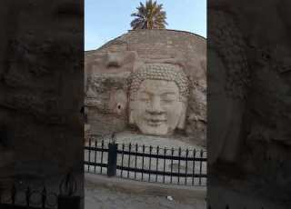  ست الستات الست مرجانه