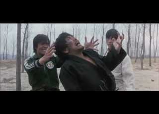 Dragon Tamers 1975 Final Fight