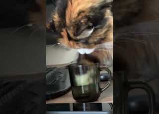 Мурочка