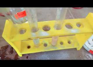  Identification Of Aromatic Carboxylic Acids