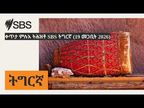 ቀጥታ ምሉእ ትሕዝቶ SBS ትግርኛ 19 መጋቢት 2026 SBS Tigrinya ኤስ ቢ ኤስ ትግርኛ