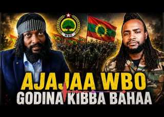  ODDU SIMBIRTUU AJAJAA WBO GODINAA KIBBA BAHAA 6 Aug 2026