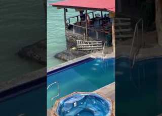  Sea Lion Comes On Land Swims In Pool And Steals Man S Chair ViralHog
