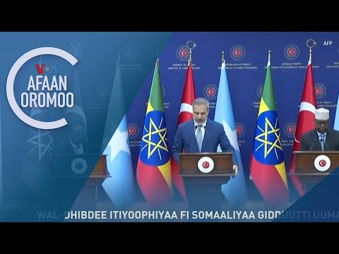 Ministirri Haajaa Alaa Turkii Gita Isaanii Kan Ityoophiyaa Fi Somaaliyaa Waliin Mari Atan