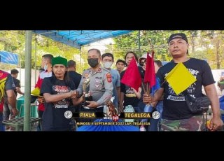  Aksi Murai Batu Darah Biru Haji Eze Bandung