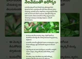  Ayurvedic Medicinal Values In Nela Vemu Health Tips