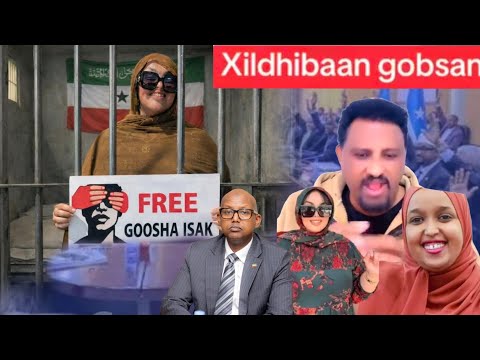 Xildhibaan Gobsan Oo U Soo Hiilisey Goosha Isaaq Xil Wasiirahana Ugu Balanqaadey Hadalba