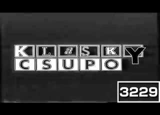  Klasky Csupo 2000 Company Logo VHS Capture In Black And White Chorded