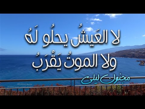 لو كان لي قلبان قيس بن الملوح