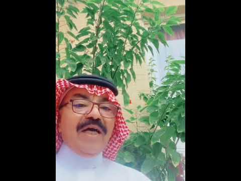 الشاعر مهدي بن عبار
