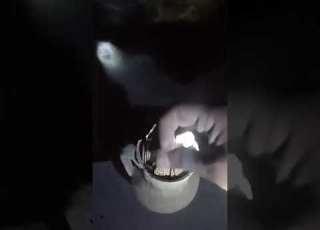 گنجینه پارسی