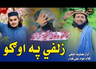 طالبانو ته ډالي زلفي په اوګو نوئ نظم آواز حافظ محمد معاويه حنفي کلام جواد علي فداء