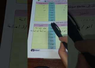 الشدة تأسيس للصفوف الأولى سندباد العبقري انجح مع انجى مصطفى